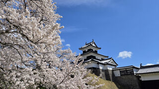 2025年4月16日～7泊8日　満開の東北6県桜の旅　1県目の福島県編（白河市～郡山市）