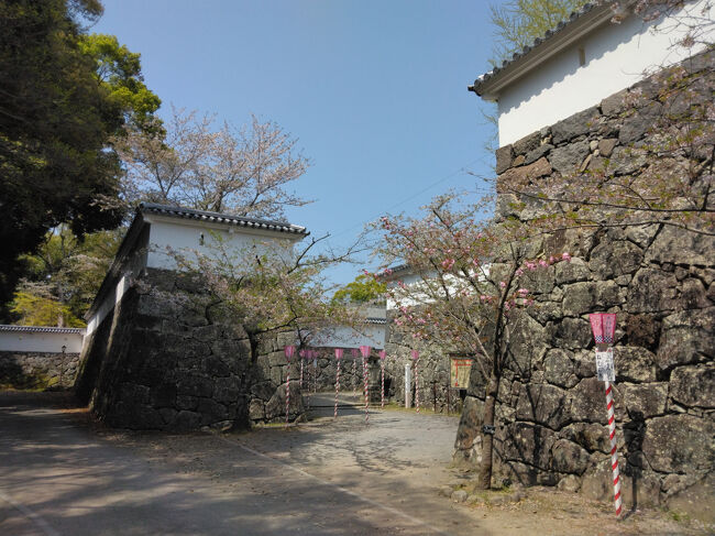 大村湾に面したところにある大村公園。もともとは玖島城であり、その城跡として石垣などが残っています。現在は桜の名所として名高く、私が行ったのはちょうど桜の時期だったので花見も楽しめました。<br />玖島城の建物は残っていませんが、復元された板敷櫓のほか、多くの石垣が残っており、城跡としての見どころは意外にも多いです。また、大村湾に面したところには大村藩お船蔵跡があり、海城としての機能を持っていたこともよくわかります。<br />長崎空港に近いところにありますが、観光客には意外と知られていない場所です。長崎空港を利用する前後のちょっとした観光の穴場としておすすめしたいところです。