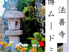 2025 のそのそ街歩き　水掛不動さんからエスパスLV　/ 難波～心斎橋～梅田　/グリコなど巨大看板