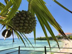 トンデモねーレンタカー屋にあった、GW2025の沖縄