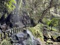 春の八丈島① バスで温泉巡り　一人旅