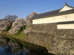 2025年4月16日～7泊8日　満開の東北6県の桜の旅　2県目の山形県編（山形市～上山市）