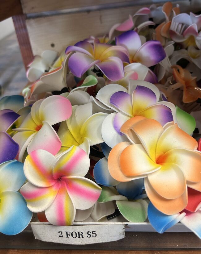 ハワイアン航空で行く•*¨*•♪ 3泊5日母娘旅Aloha Hawaii Saturday &Sunday.♬*ﾟ
