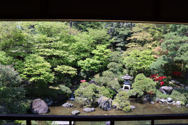 【街歩き】新潟古町建物めぐり