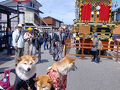 ③2025年4月　高山祭は外人が沢山　姫路城　大阪万博で世界旅行気分　富山「春の四重奏きっぷ」糸魚川