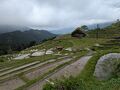 東紀州Drive　～獅子岩・丸山千枚田・道の駅グルメ～