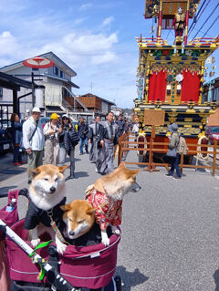 ③2025年4月　高山祭は外人が沢山　姫路城　大阪万博で世界旅行気分　富山「春の四重奏きっぷ」糸魚川