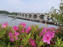 about us | TEGANUMA WEEKEND -千葉県手賀沼地域の遊びどころや