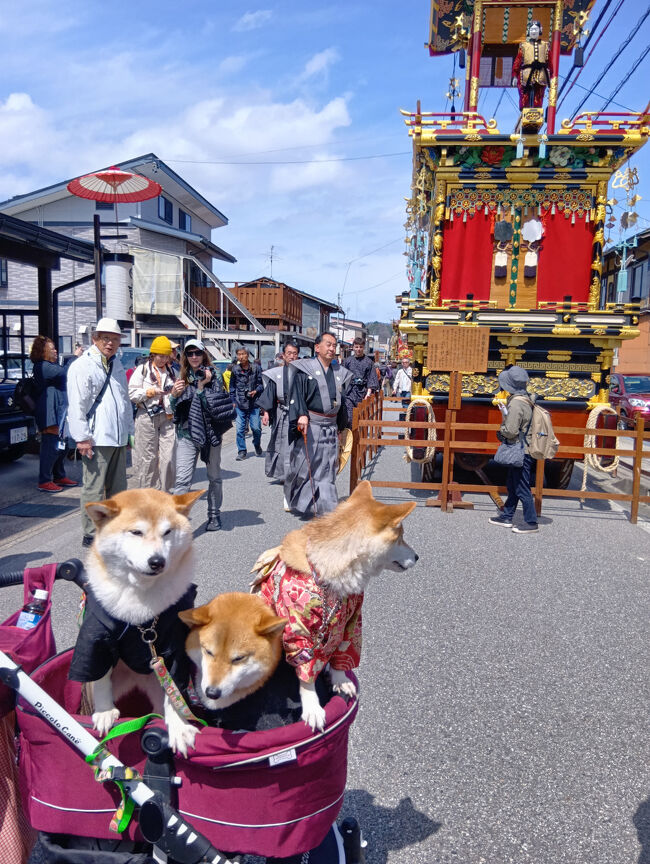 04月13日(日)07:58発 富山JR特急ひだ6号 <br />指定席09:28着 高山駅 <br />祭り前日でバスは遠回りして 松之木農協前 降車から<br />400m位で宿へ 210円 現金<br />参考 一日フリー乗車券「飛騨高山1日フリー木っぷ」<br /> 「匠バス」・「さるぼぼバス」・「まちなみバス」<br />「たかね号」などは駅の高山濃飛バスセンターで<br /><br />2025年4月13日(日) ゲストハウス「日の出」<br />高山市, 日の出町トリプルルーム 共用バス ¥7,440 <br />観光案内所横5番乗り場52番 新穂高線 平湯飛騨温泉郷行き<br /> 駅の高山濃飛バスセンター 210円 毎時40分発<br /> バスは祭り前日から遠回りして困りました。<br />ダウンロードしていたグーグルマップで<br />何とか宿に着きました。<br />スマホで到着時間をオーナーと相談して<br />12時過ぎのチェックインをして頂きました。<br /><br />2025年4月14日(月)祭り初日「日の出」から車で<br />駅まで送っていただいた。駅から徒歩で祭り見学<br /><br />神楽台・三番叟・龍神台・石橋台の4台は中橋西詰めの<br />御旅所前広場に。春の高山祭といえば、<br />桜の名所でもある赤い「中橋」を通る屋台なので必見です。<br />他の8台の屋台は神明通りに登場。<br />4月14日は午前に日枝神社を出発し、氏子の家々を巡り御旅所へ。<br /><br />4月15日(火)3日前 万博パビリオン先着予約。 <br />4月15日(火)12:30~祭り巡行は 祭りは前日の夕方に中止決定<br />4月15日(火)日の出」から車で駅まで送っていただいた。<br />08:00発 高山特急ひだ4号 名古屋行9駅指定席<br /> ひかりで姫路へ<br />2025年4月14日(月)祭り初日だけは<br /> 晴れ男の夫がいたので晴れました。<br /><br />