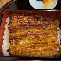 小川菊にうなぎを食べる目的だけで川越へ行く旅