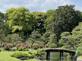 六義園を散策