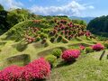 GWは人混み避けて家族で三島にプチ旅行。お城めぐりは「山中城」。