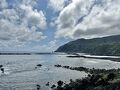 答えあわせの八丈島　2024 春