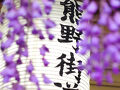 熊野街道信達宿 梶本家の野田藤の藤まつり　2025.4.26