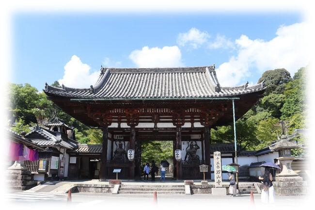 ​​滋賀県大津市石山寺。<br />琵琶湖を源にする瀬田川の右岸に鎮座する真言宗の大本山、本尊は如意輪観世音菩薩。<br />枕草子、源氏物語、浮世絵、近代文学を育む舞台ともなり、養老2(718)に開かれた西国三十三所観音霊場の第13番として古くから崇敬される古刹。<br />広大な境内には東大門や舞台造りの本堂、多宝塔など多くの伽藍が建てられ、内陣や豊浄殿を拝観し伽藍を見て回るだけでも相当の時間を要します。