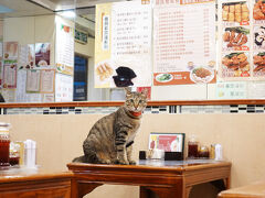 2025年5月/香港で猫を愛でつつ飯を食う