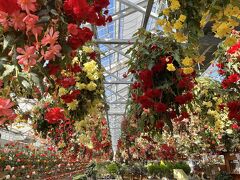 【子供と行く】鬼怒川の旅①（おさるランド～花いちもんめ）