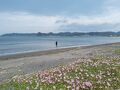 千葉富浦～おさかな倶楽部と平砂浦サーフィン2泊３日～