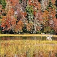 ５月のバリローチェ ver. 2025 湖と氷河と紅葉