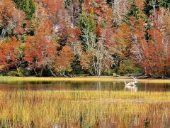 〜23日特別価格　新品　アルゼンチンのバリローチェのウナエル・ウアピ湖 2023 アルバリーニョ ルノー /カーブドッチ・ワイナリー /白