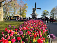 春爛漫！夢のオランダ・ベルギー8日間　5日目キューケンホフ公園～アムステルダム国立美術館 編