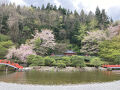 岩手県の旅　その②花巻・江刺・一関編
