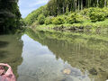 嵐山渓谷で久しぶりの森林浴
