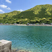 綺麗な海を探しに九州へ２天草でキリシタン猫たちの洗礼を受ける