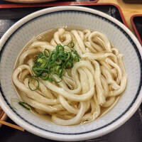 四国初上陸★うどんを食べて金毘羅さんへ行く王道の初心者旅行 その１
