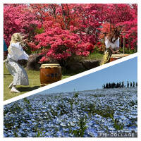 2025年　魅力がいっぱい茨城～花めぐり＆石切山脈＆絶景カフェ～　