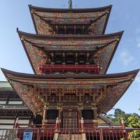 前泊で成田山新勝寺参拝