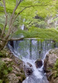 東北の旅に出る前に、神戸の街歩き。竹中大工道具館を見学して、布引の滝や北野異人館街へも。