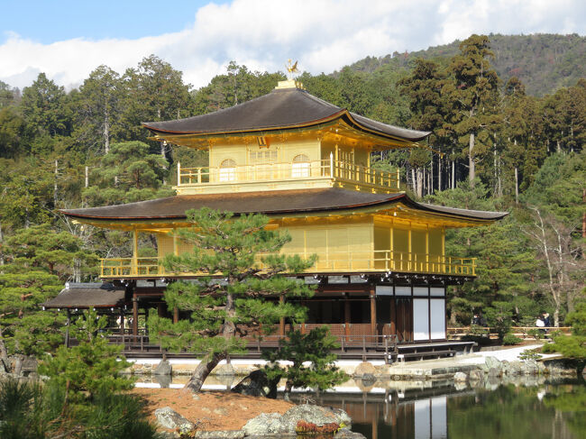 2024DEC「JALダイナミックパッケージ大阪家族旅」（6_金閣寺）
