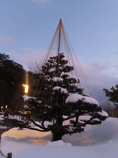 2025年日本の冬巡り (4) 大雪の古都金沢　蟹・兼六園・加賀割烹