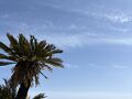 ANAで行く八丈島温泉旅