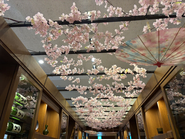 今回の福島旅は、<br />福島県の飯坂温泉「飯坂ホテル ジュラク」に来てみました。<br />ここは一度来てみたかったお宿。<br /><br />温泉街を散歩するのも楽しみです。<br /><br />