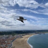 2025GW ポルトガルDay3　海辺の街ナザレと世界遺産バターリャ修道院、理知的な大学都市コインブラ