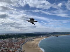 2025GW ポルトガルDay3　海辺の街ナザレと世界遺産バターリャ修道院、理知的な大学都市コインブラ