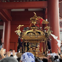 雨の三社祭開催中の浅草神社に御朱印散歩