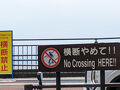 琵琶湖　湖西と道の駅と買い物