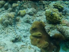 かりゆし水族館