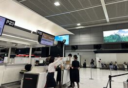 完　第1章第1幕　思いがけない幸運に遭遇したシンガポール編（世界一周　中盤　欧州と北米12か国巡る7週間）
