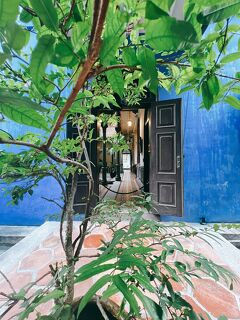 アッサムラクサ