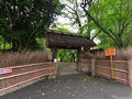 史跡 赤坂お茶屋屋敷跡　ボタン園