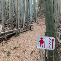 2025.05 四国遍路・区切り打ち第3回(12番～19番)