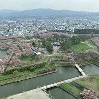五稜郭の桜が見たくて函館へ