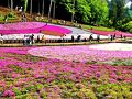 新木鉱泉旅館に泊まってきました(再々訪)