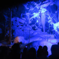 2025年日本の冬巡り (5）冬のおいらせ号と氷瀑ツアー