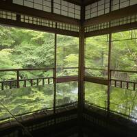 2025.6.9-10 京都大原と上賀茂神社・下鴨神社の旅