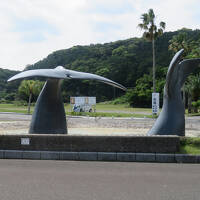 那智勝浦への旅②紀伊松島めぐりとくじら博物館